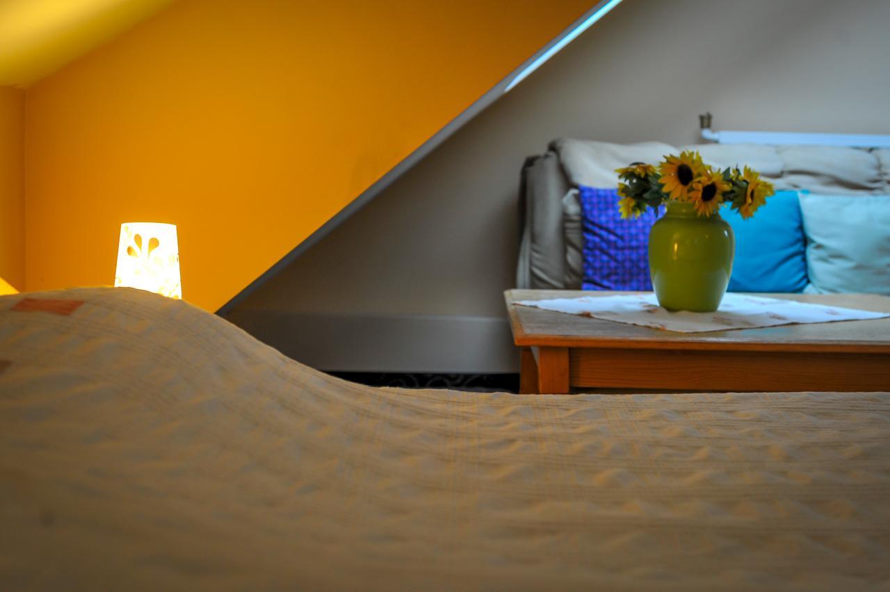 Guest house Pensiunea Casa Tepes Brasov